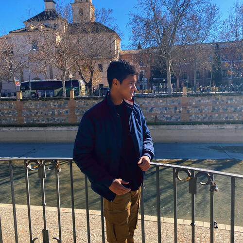 Rogier van der  Zwart